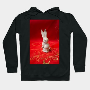 White bunny on red background Hoodie